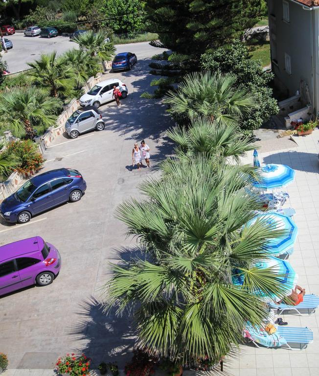 Basil 2* Tsilivi (Zakynthos)
